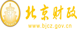 老BB另北京市财政局